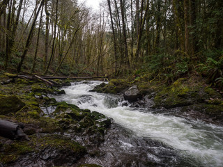 Valley Stream