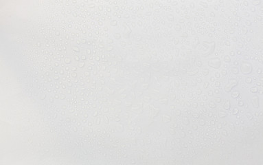 Water drop on white background.