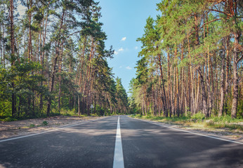 Obraz premium Open Road in future, no cars, auto on asphalt road through green forest, trees, pines, spruces.