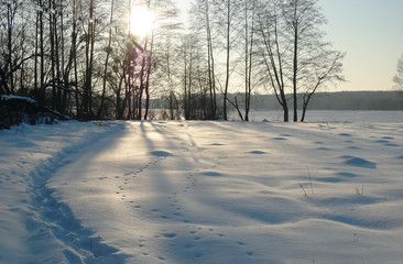 Sunny frosty winter day