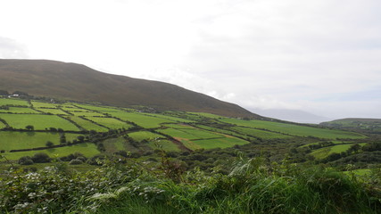 Naklejka premium Ackerland in Irland