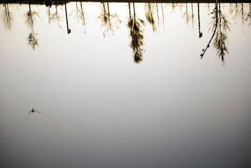 Fototapeta premium Reflejos