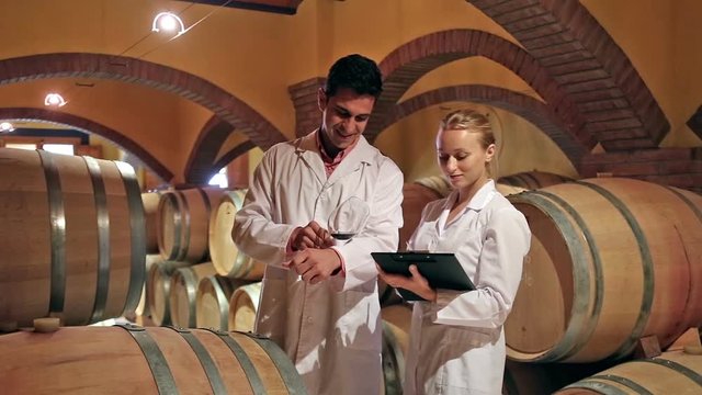 Two laboratory technicians working with wine in cellar