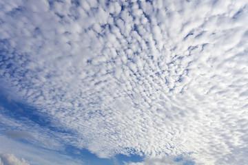 blue sky and cloud.