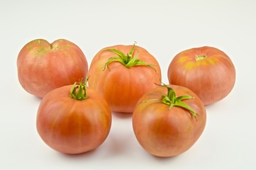 Tomatoes isolated
