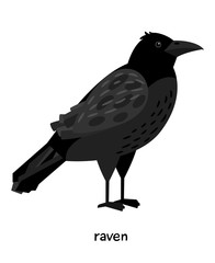 Image of nice Raven 