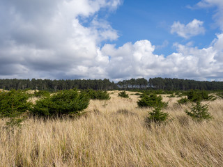 Washington State Coast