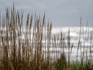 Washington State Coast