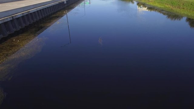 Aerial video of an alligator swimming in a canal