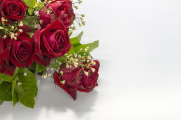 red rose flower for love