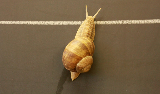 Ziel erreicht