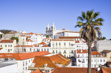 Fototapeta na wymiar Red tiled roofs of Lisbon. Cityscape at the Alfama District, Portugal