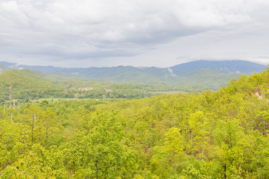 Fototapeta Forest cover in the mountains