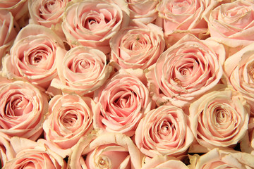 Obraz na płótnie Canvas Pink wedding roses