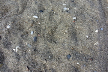 Natural stone and sand wall texture for background