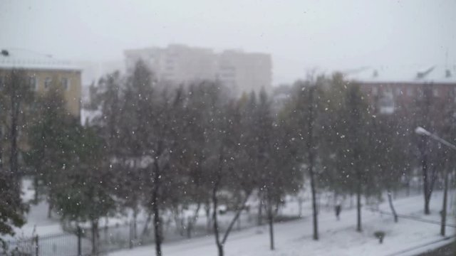snow flakes on a background of the city