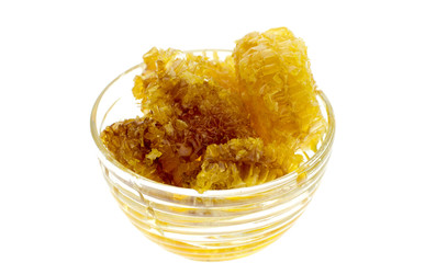  tasty honeycomb on the  white background. Tasty, sticky gold honey combs  with fresh honey.