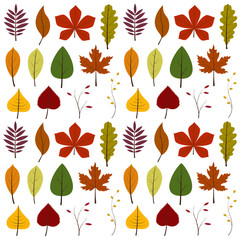 vector set with autumn leaves