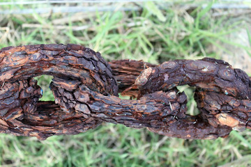 Very old rusted chain
