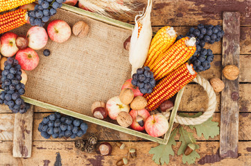 Thanksgiving day: Tray of different vegetables
