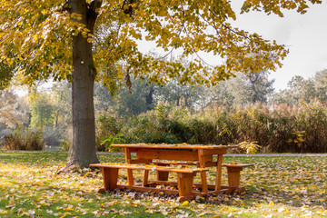 Park table covered with Autumn leaves under yellow tree