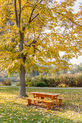 Park table covered with Autumn leaves 