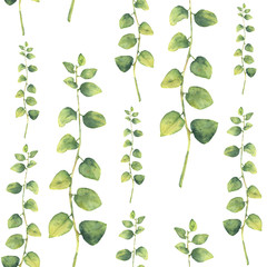 Obraz premium Watercolor green floral seamless pattern with herbs with round leaves. Hand painted pattern with branches and leaves of curly herb isolated on white background. For design or background