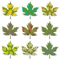 vector set with doodle maple leaves on a white background