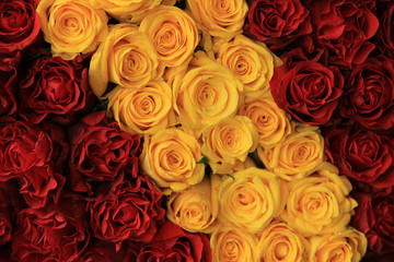 red and yellow roses in a wedding arrangement