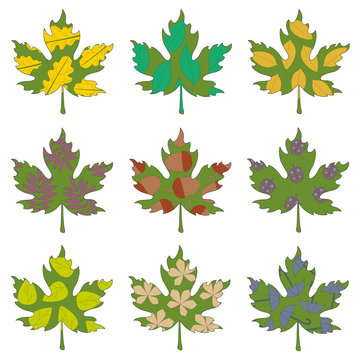 vector set with doodle maple leaves on a white background