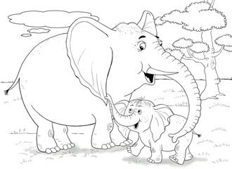 The zoo. Animals of Africa. Elephants. Cute elephant mother and her baby. Illustration for children. Coloring book. Coloring page. Cartoon character.