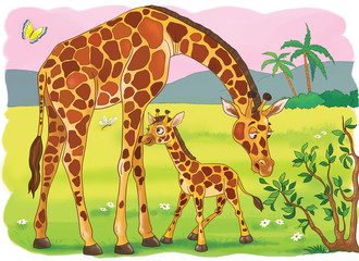 The zoo. Animals of Africa. Giraffes. Cute mother giraffe and her baby. Illustration for children. Coloring book. Coloring page. Cartoon characters. © Hasmik