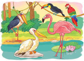 At the zoo. African animals. Small set of African birds. Cute flamingo, pelican, marabou, toucan and parrot. Illustration for children. Cartoon characters. Coloring book. Coloring page.
