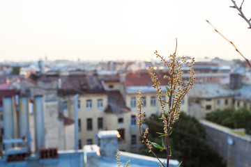прекрасный вид с крыши Санкт-Петербурга в центре...