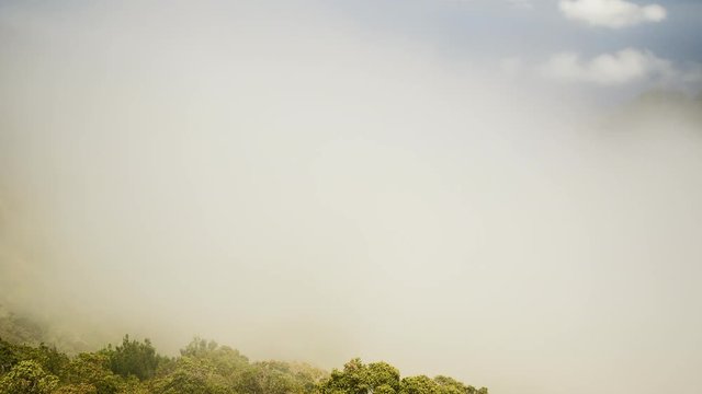 Time Lapse of clouds moving over Kalalau Valley at the Na Pali coast on Kauai, Hawaii, USA, seen from the Kalalau Lookout in Kokee State Park.