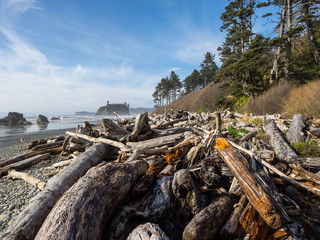 Ruby Beach Washington State