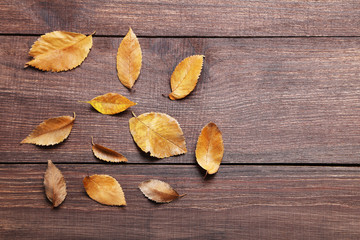 Autumn leafs on brown wooden table