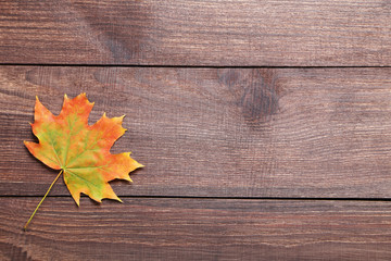 Naklejka na ściany i meble Autumn leaf on brown wooden table