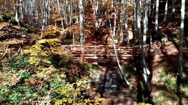 Ponte di legno sopra una piccola cascata nel bosco