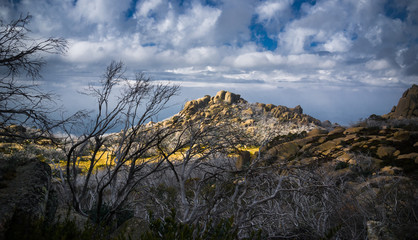 Mount Buffalo