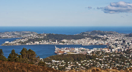 Beautiful view of Wellington city from the top of mount Kau Kau