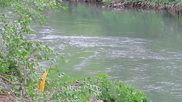 Floating Ibar rive