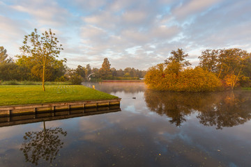 Morning sun illuminates autumn leaves lining the misty waterside in Aalsmeer