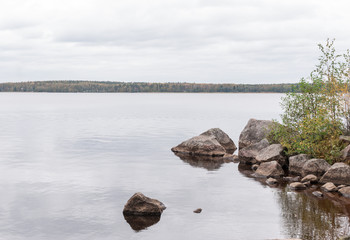 Overcast autumn day on the lake. Natural autumn landscape.