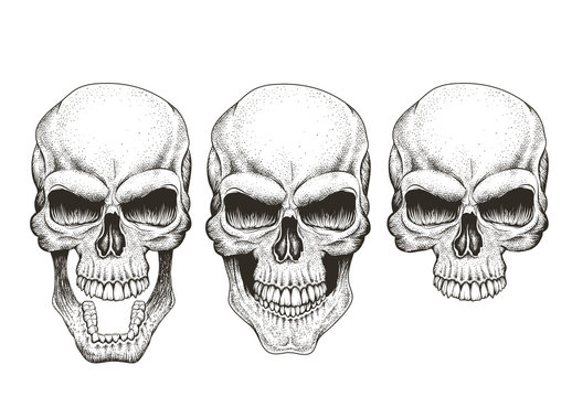 One skull in different guises