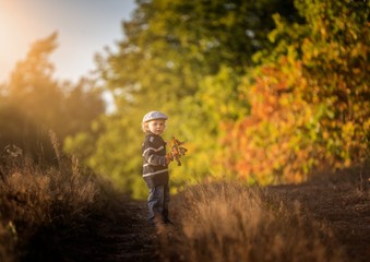 Happy little boy playing outdoor in beautiful autumn scenery