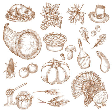 Thanksgiving day sketched symbols for greeting