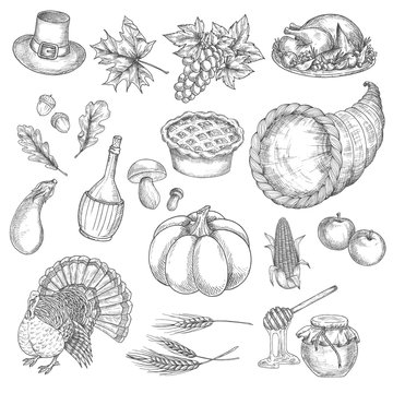 Thanksgiving Sketch Vector Isolated Icons