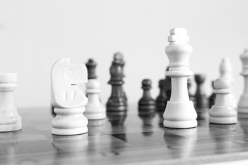 Scacchi fotografati su una scacchiera