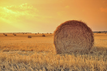 Roll of hay on sunset